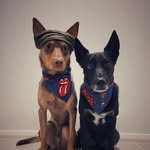 Angus and Keith 🐾