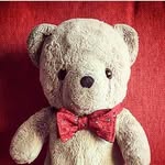 🧸Osito Elegante
