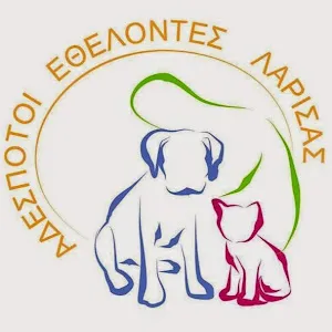 Larissa’s Stray Volunteers