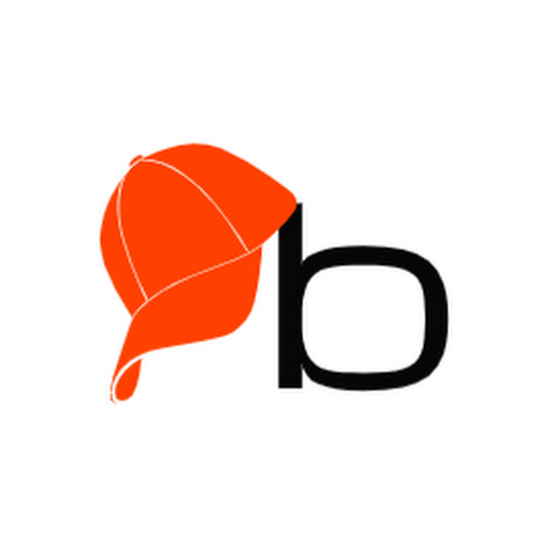 HATTBRICKS The Brick Aviator