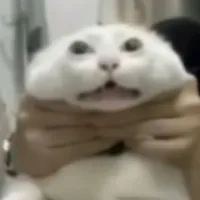lui
