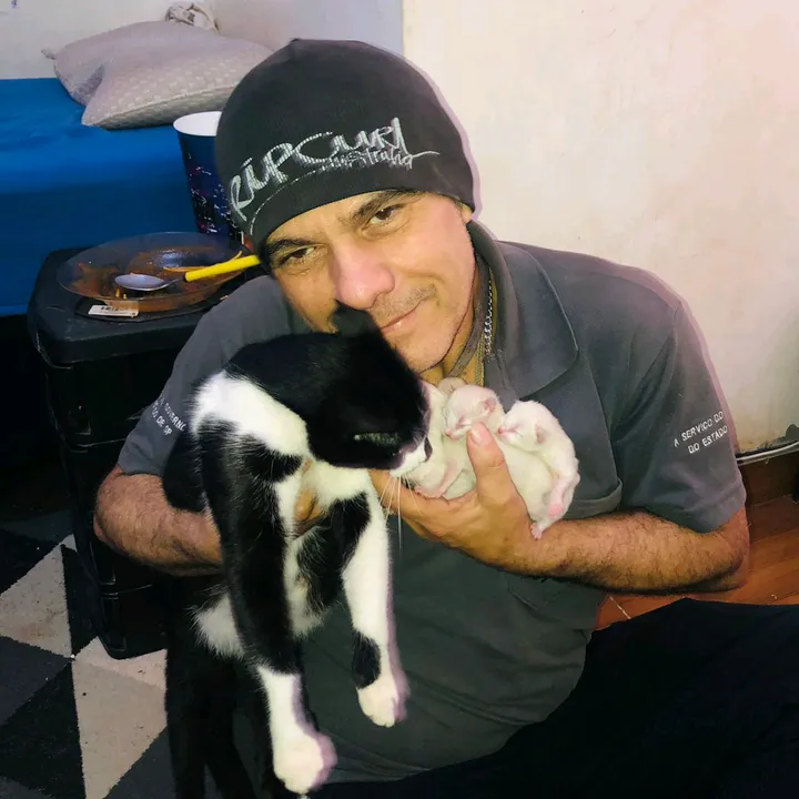 Plataforma para ajudar animais