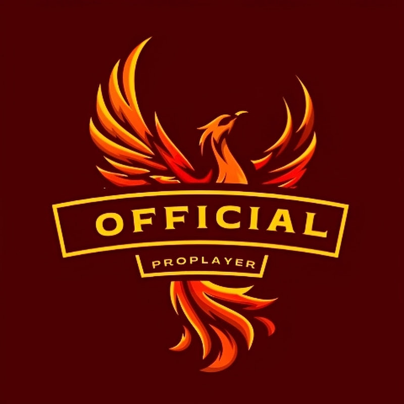 𝗣𝗿𝗼 𝗣𝗹𝗮𝘆𝗲𝗿