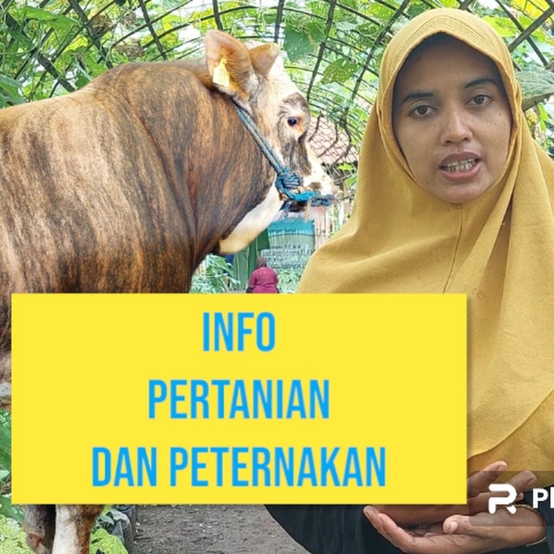 Ke Kandang Ke Kebun