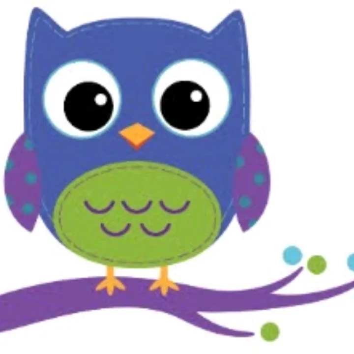 The Bubbly Owl 🫧🦉