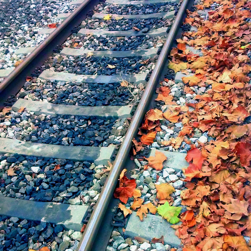 Panos G - Trains for life