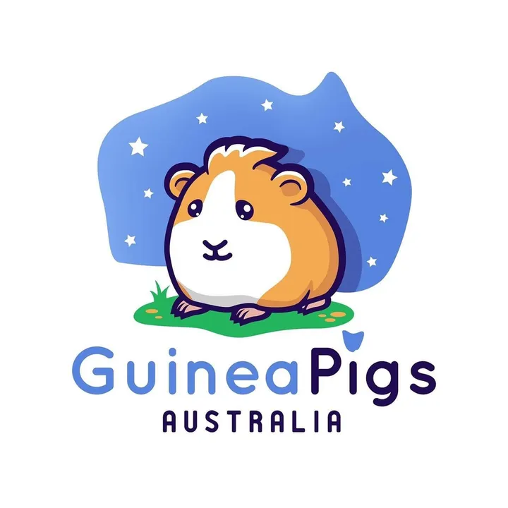Guinea Pigs Australia