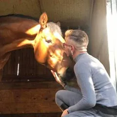 Andre🐴