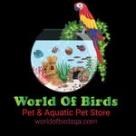 World Of Birds - عالم الطيور