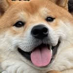 Mochi