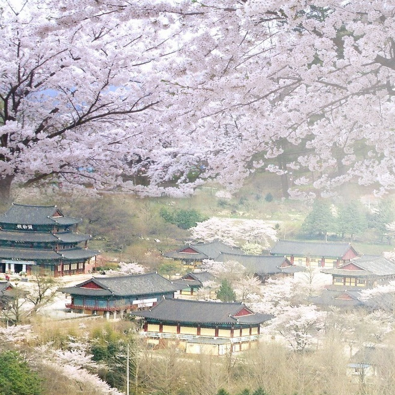 한국기독교음악