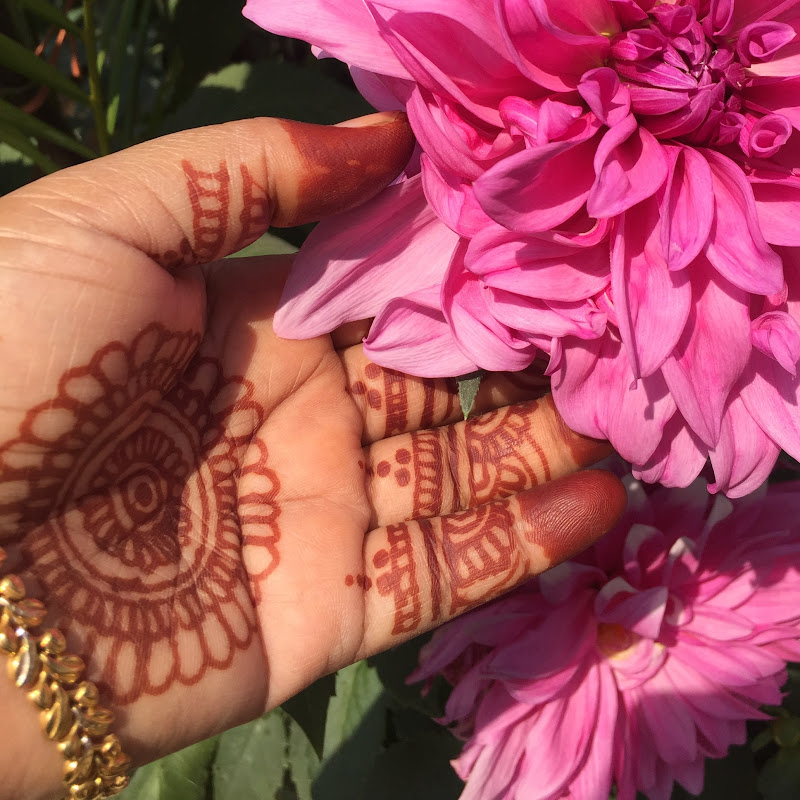 Shahin garden and vlogs