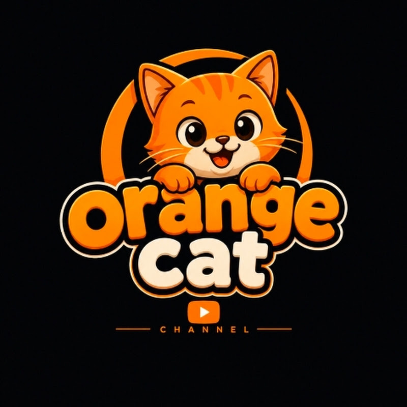 orange cat