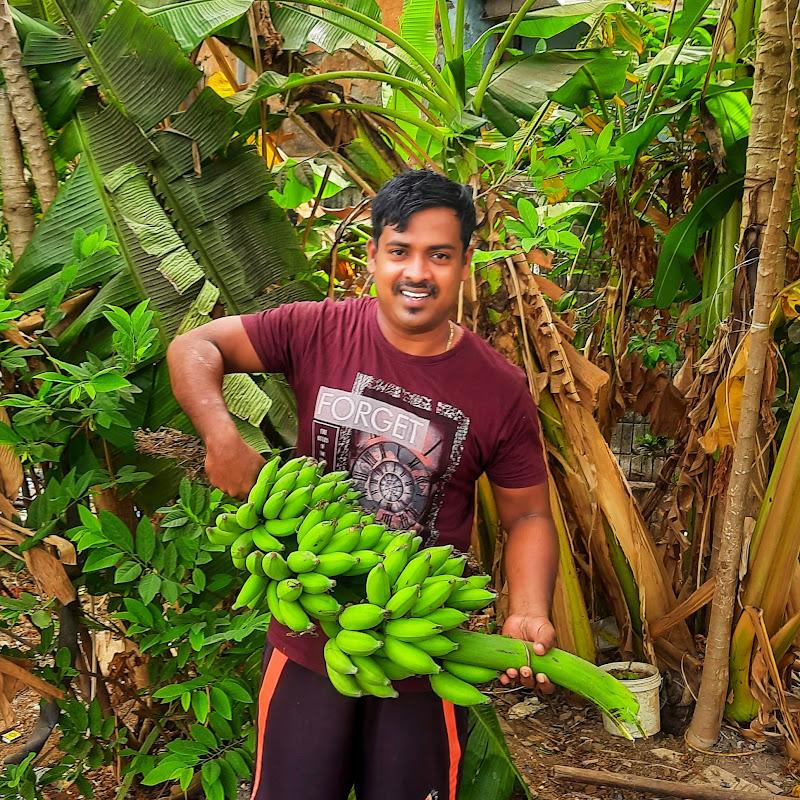Salgaonkar Dhanesh Vlogs