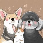 一喵二汪三張嘴