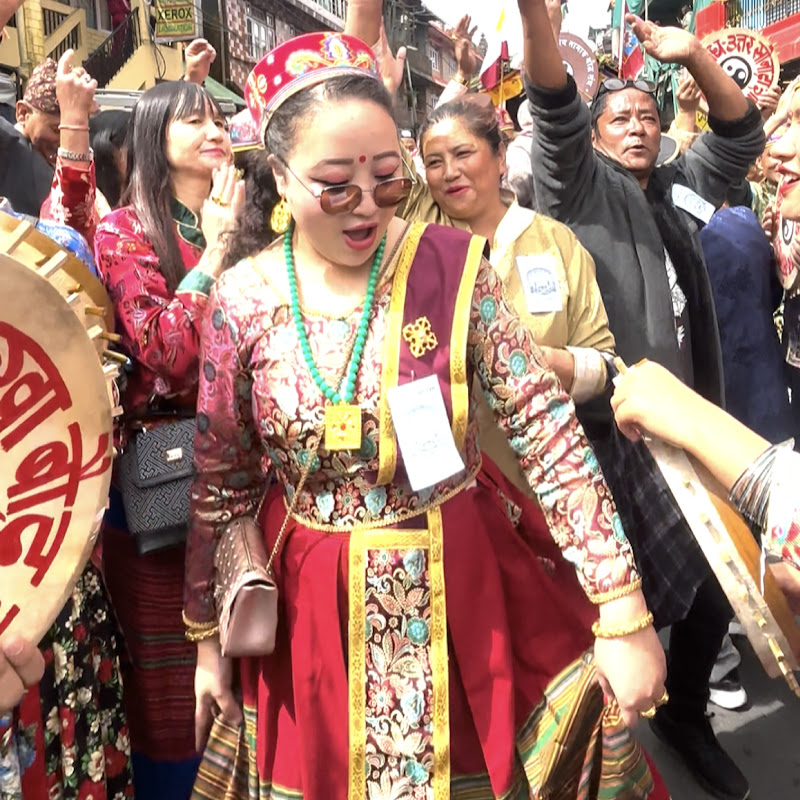 Yanki Chogyal Vlogs