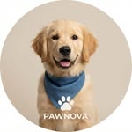 PawNova | Pet Essentials