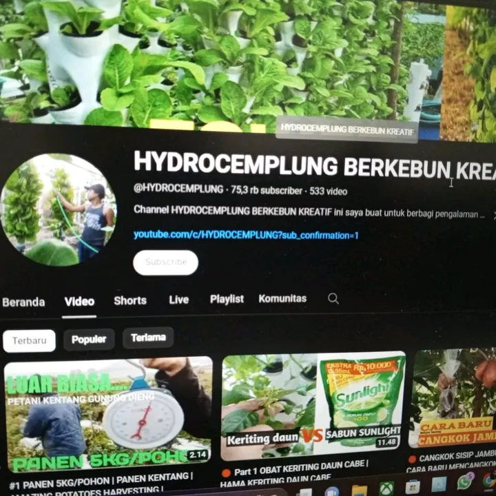 Sapta