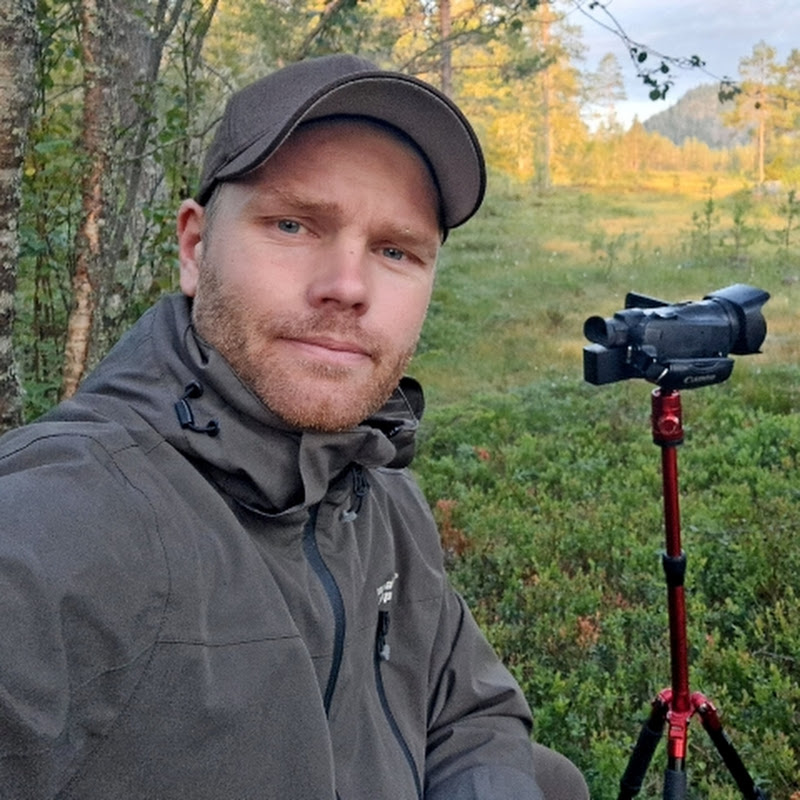 Daniel V. Thorsen - DVT_NorwegianWildlife