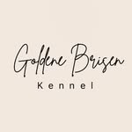 Goldene Brisen Kennel || Dobermann || 𝐌𝐮𝐥𝐭𝐢 𝐂𝐡𝐚𝐦𝐩𝐢𝐨𝐧𝐬