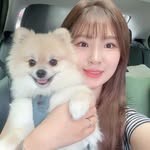 조민상