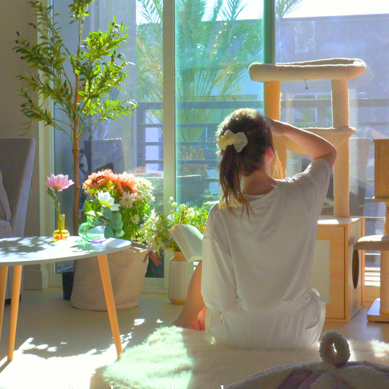 unbusyLee & 5 pets