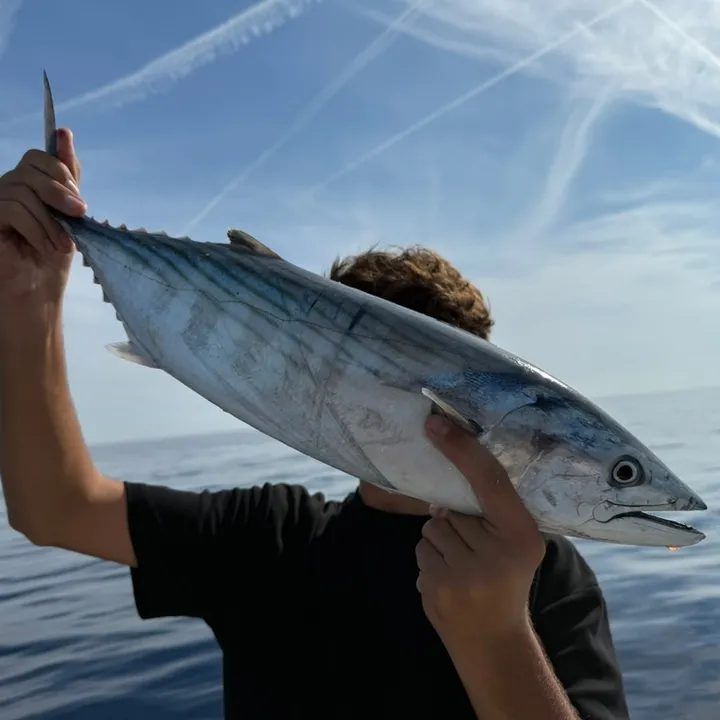 Pêche 06 🎣🐟