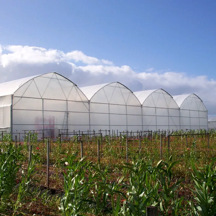 Greenhouse Manufacture