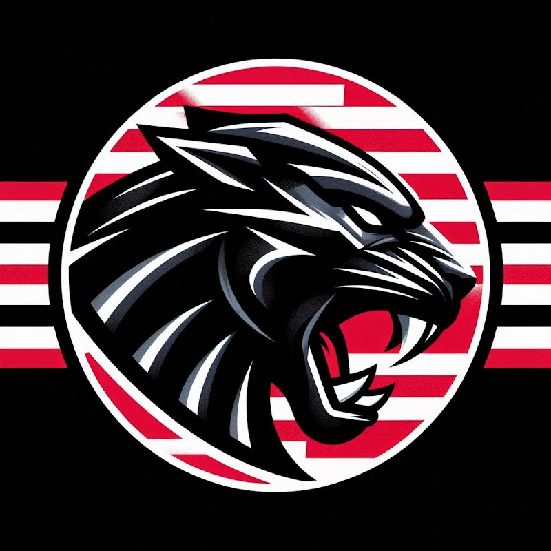 Black Cats TV 