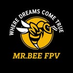 MrBee Fpv