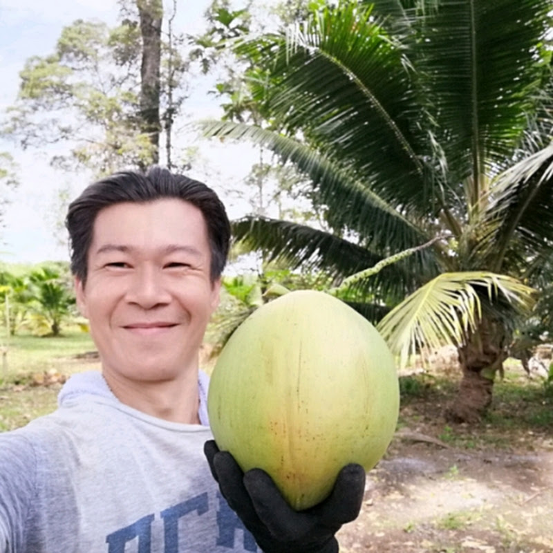 Farming kelapa pandan
