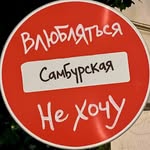 Настасья СамбурскАя