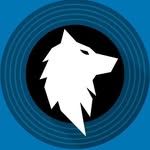 Vinyl and Music by Vinyl and the Wolf