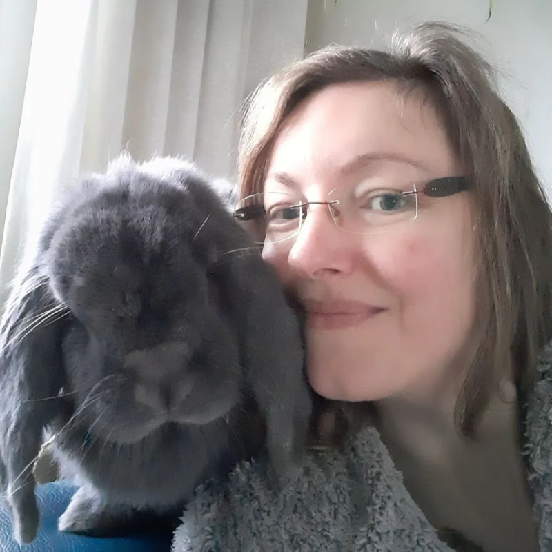 The Bunny Mom
