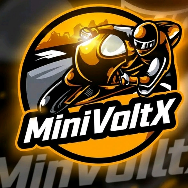 MiniVoltX
