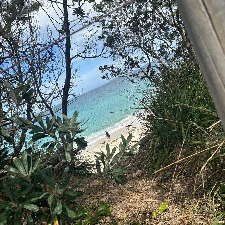 ✝️🏀[𝓑𝓻𝓪𝔁𝓽𝓸𝓷]🏀✝️