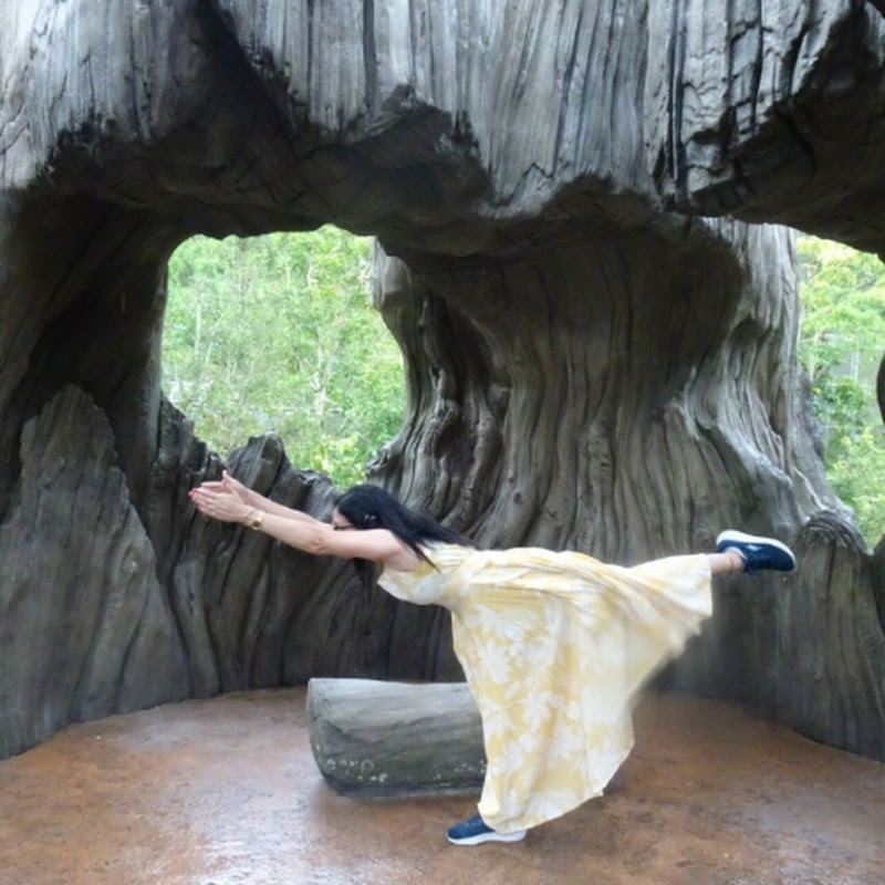Samatvam Yog