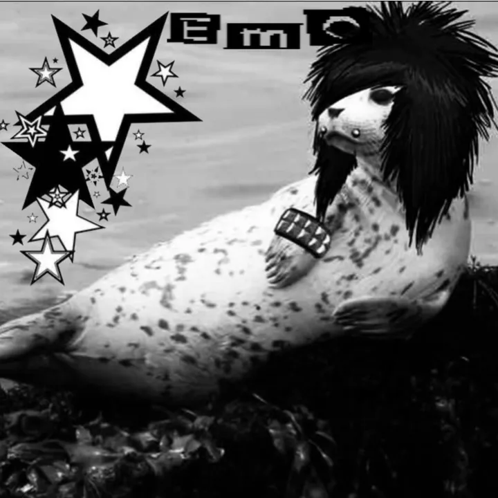 ⦻!3m0!⦻