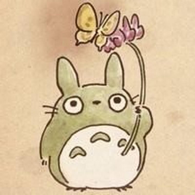 미스터 손 블로거