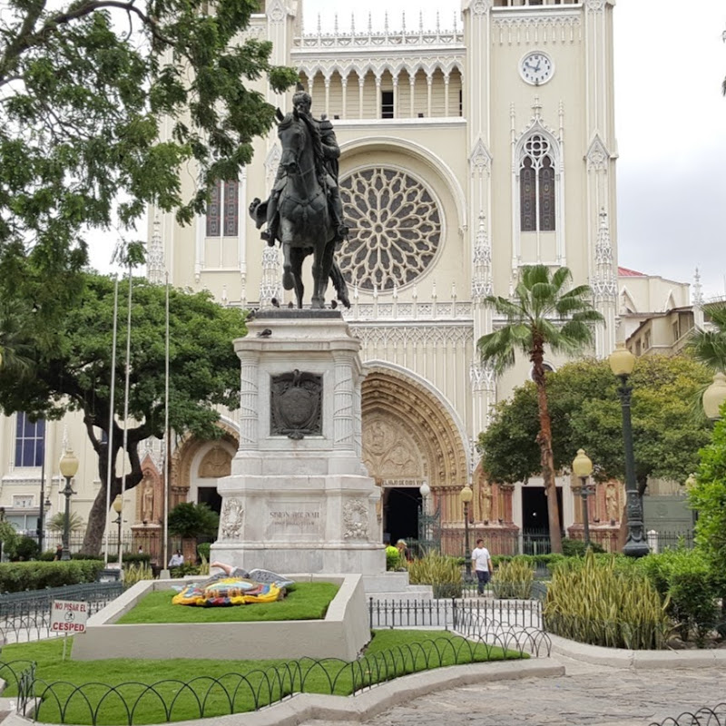 ryo40 recetas fáciles.