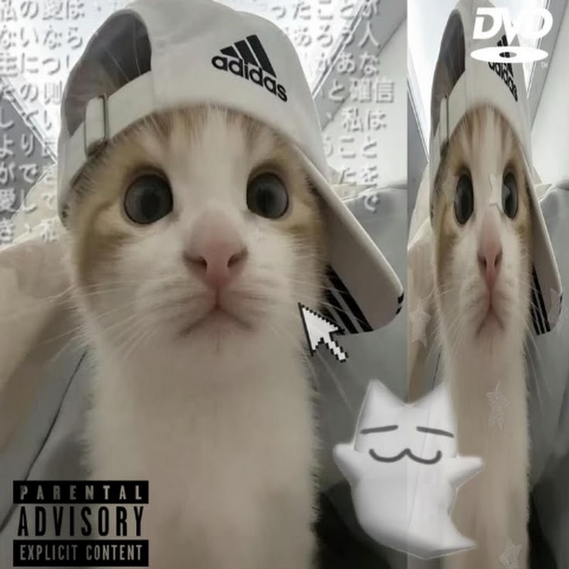 𝗠𝗶𝘆𝘂𝗸𝗶𝗶