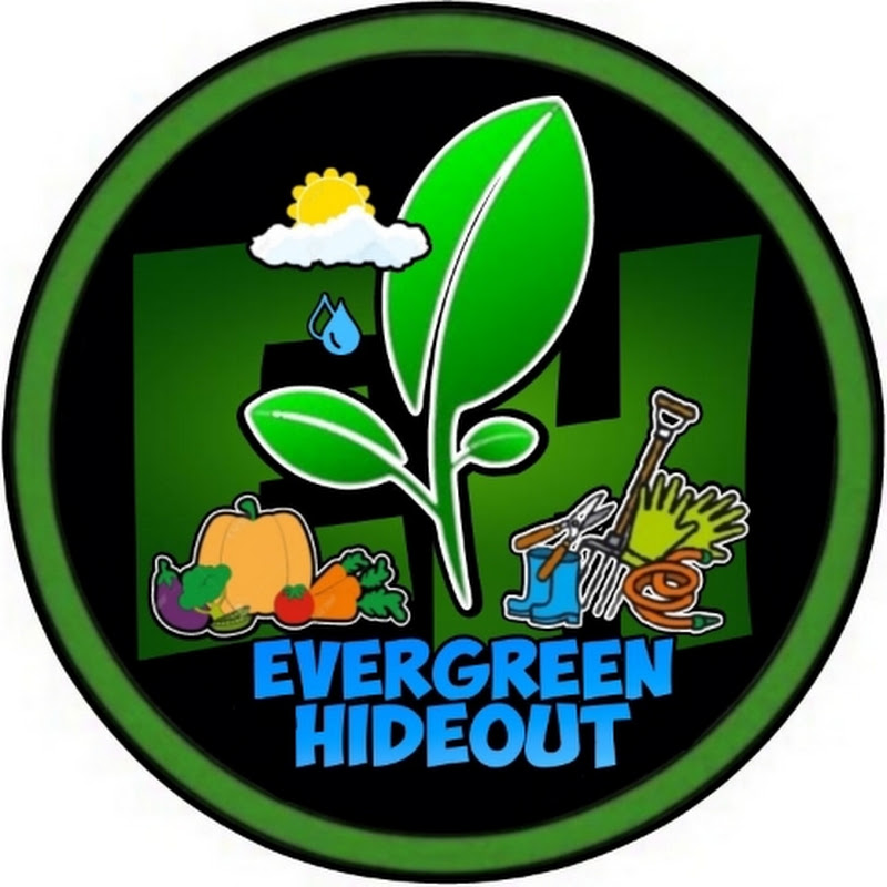Evergreen Hideout