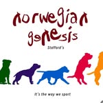 Norwegian Genesis Staffords
