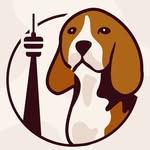 Coco Stuttgart | Beagle