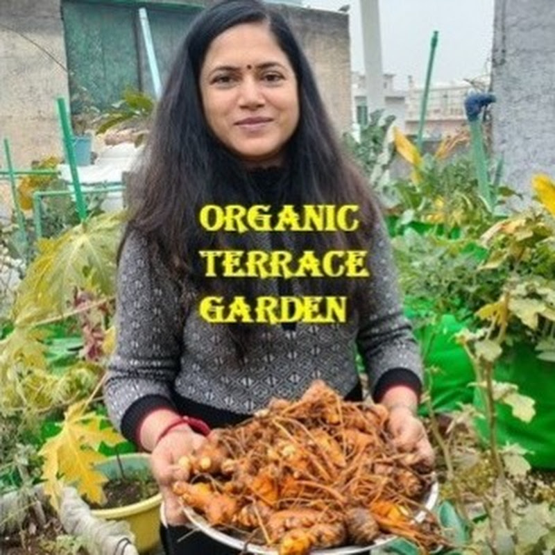 Organic Terrace Garden
