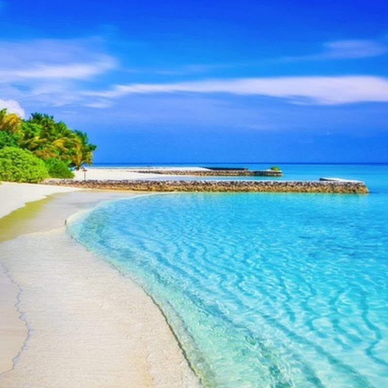 Punta Cana Travel & Walking Videos