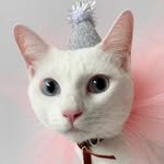 Royce, Elise & Eleanor