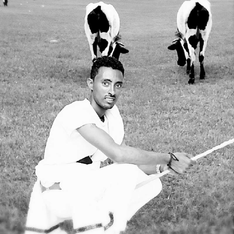 Raya Tube ራያ ትዩብ ሚድያ 