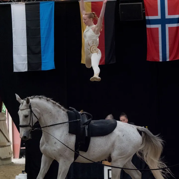 Equestrian vaulting