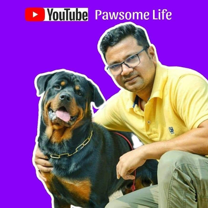 Pawsome Life